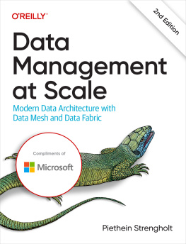 Piethein Strengholt Data Management at Scale: Modern Data Architecture with Data Mesh and Data Fabric, Second Edition (Final Release)