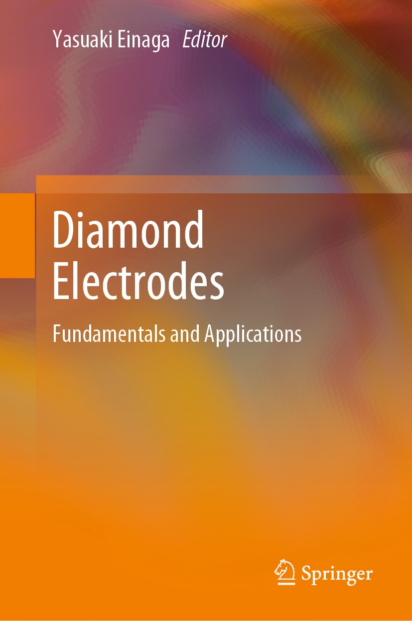 Book cover of Diamond Electrodes Editor Yasuaki Einaga Diamond - photo 1