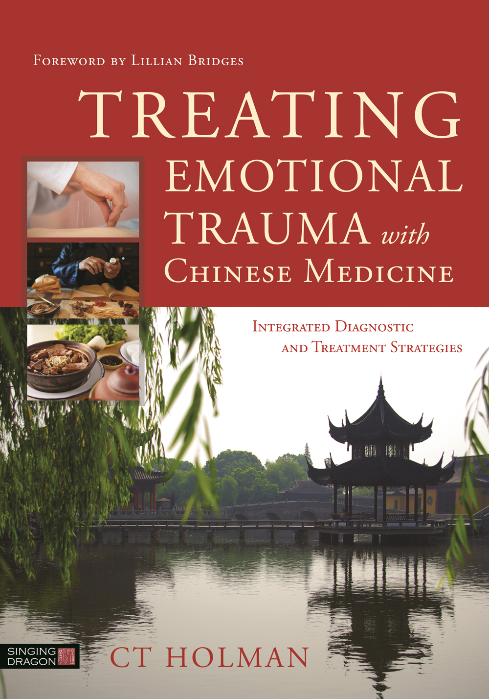 Treating Emotional Trauma with Chinese Medicine Integrated Diagnostic and - photo 1