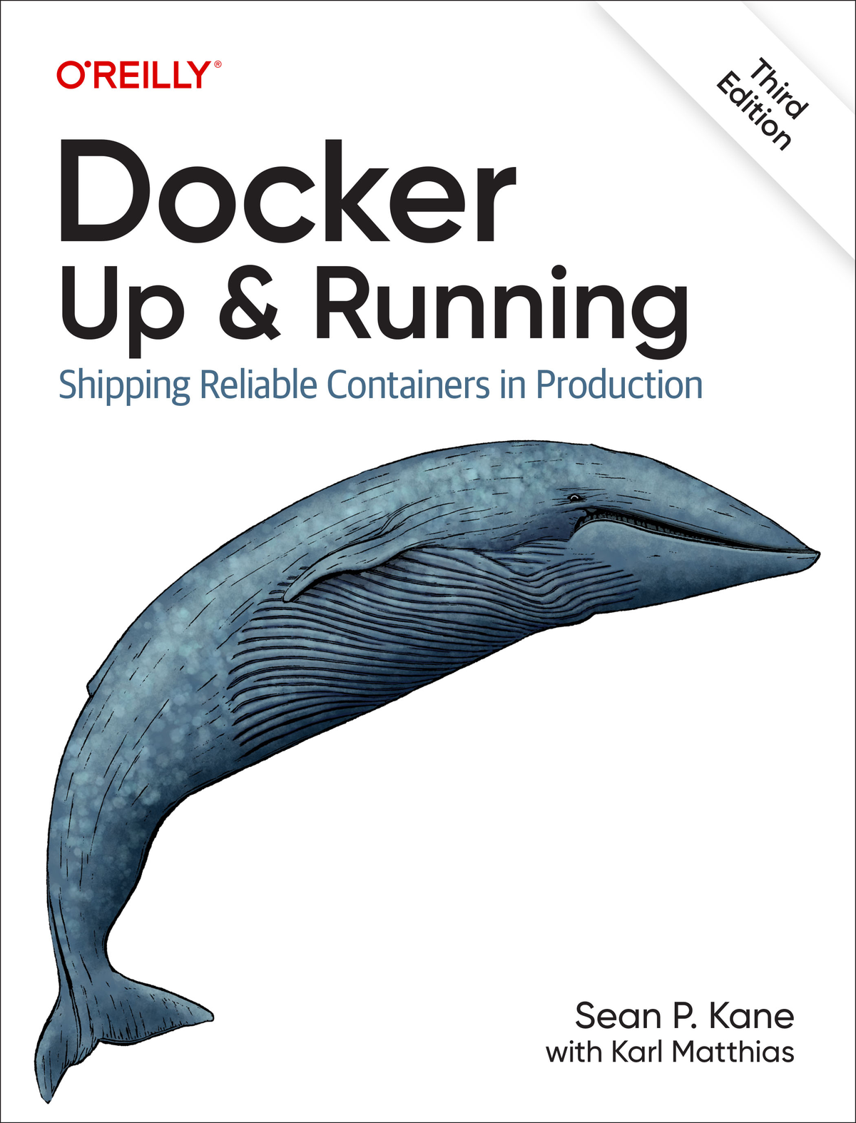 Praise for Docker Up Running Docker Up Running moves past the Docker - photo 1