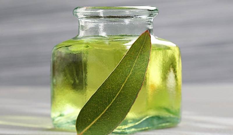 Argan oil mixed with eucalyptus essential oil Serves 14 cup Preparation - photo 12