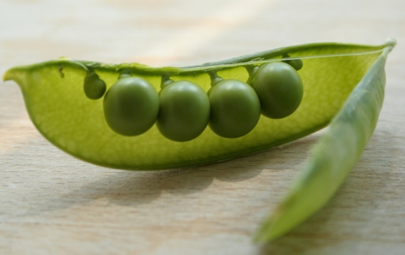 Total Prep Time 20 minutes Yield List of Ingredients 17 o z of Peas - photo 6