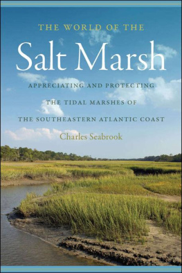 Charles Seabrook The World of the Salt Marsh (Wormsloe Foundation Publication)