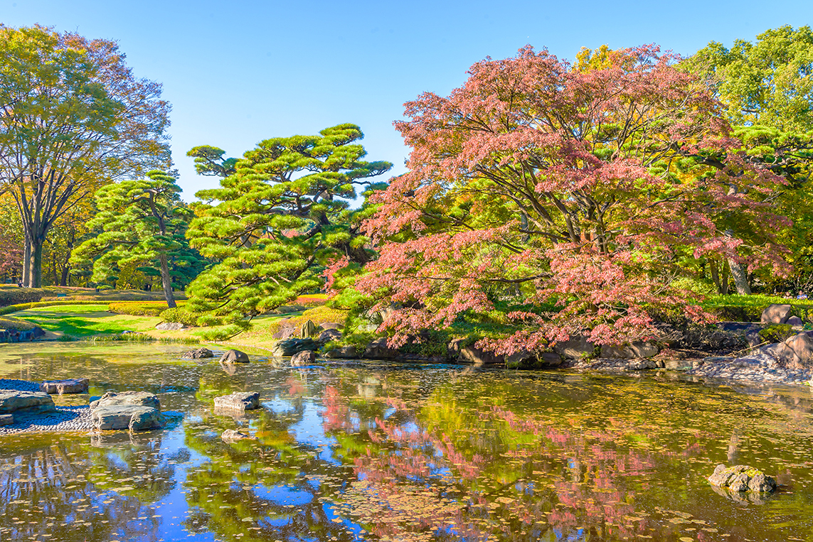 STOCKFORLIFESHUTTERSTOCK Tokyos Top Experiences JON ARNOLD IMAGES - photo 9