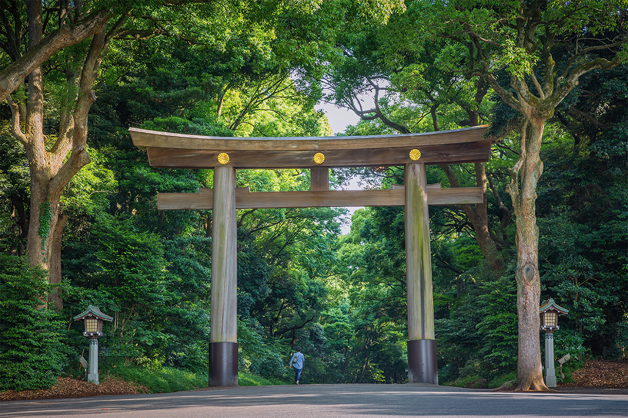 BULE SKY STUDIOSHUTTERSTOCK Tokyos Top Experiences - photo 7