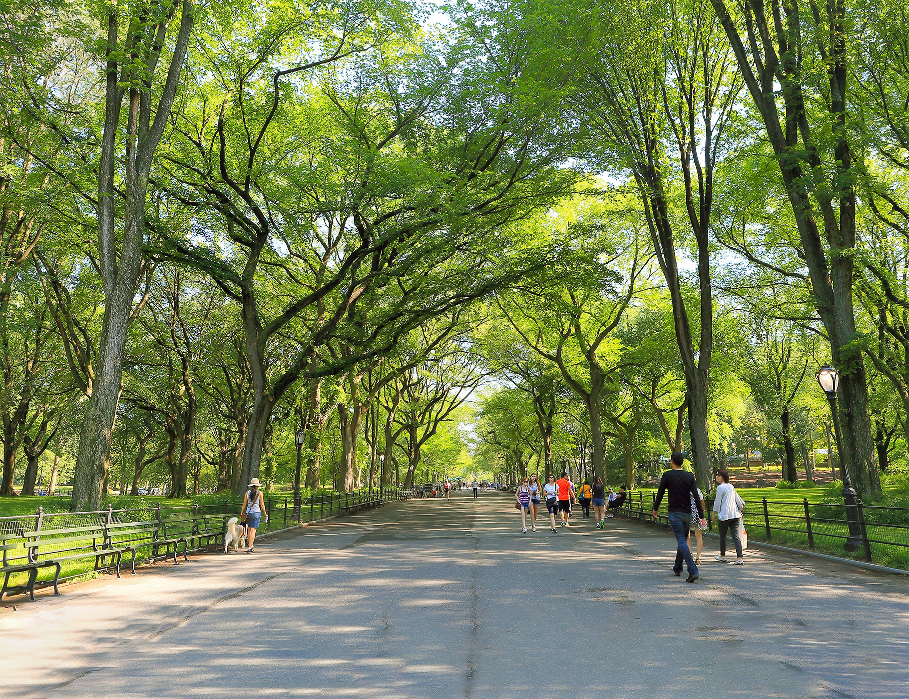 VERGIE AZEVEDOSHUTTERSTOCK New York Citys Top Experiences SUSANNE - photo 5