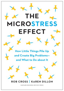 Rob Cross - The Microstress Effect