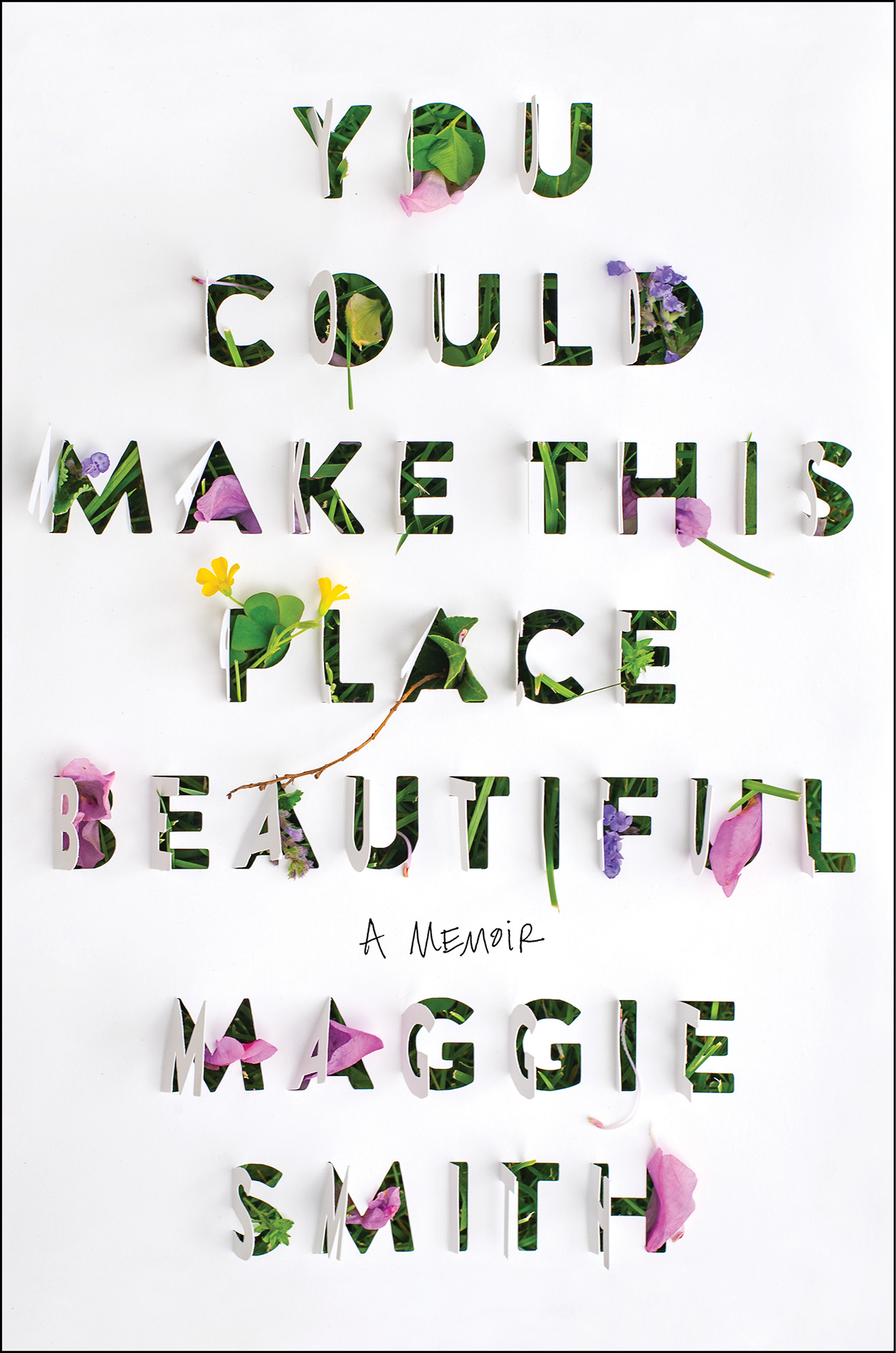 You Could Make This Place Beautiful A Memoir Maggie Smith ALSO BY MAGGIE SMITH - photo 1