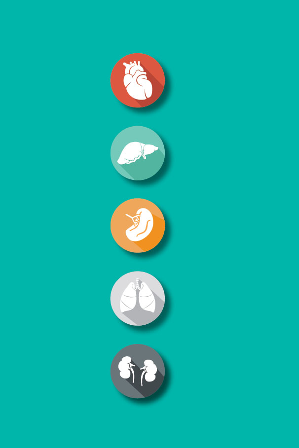 Chapter One Knowing about the Toxins in Your Body T CM and Western medicine - photo 6