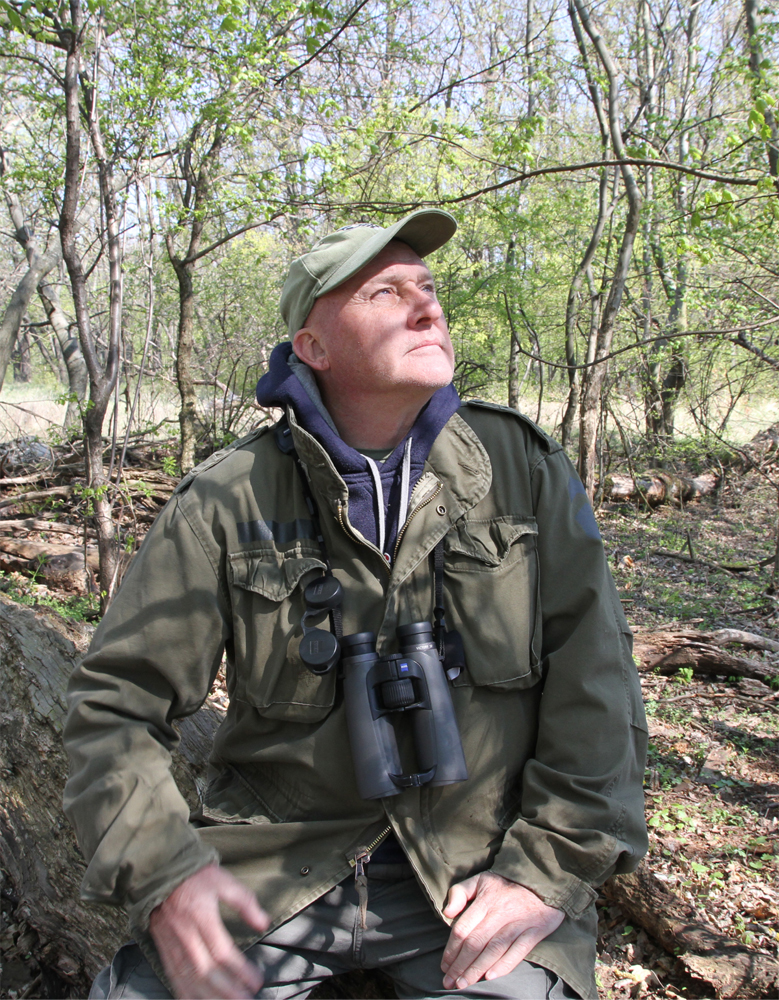 Green Woodpeckers are invariably shy birds and studying them especially around - photo 3