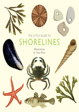 Alison Davies - The Little Guide to Shorelines