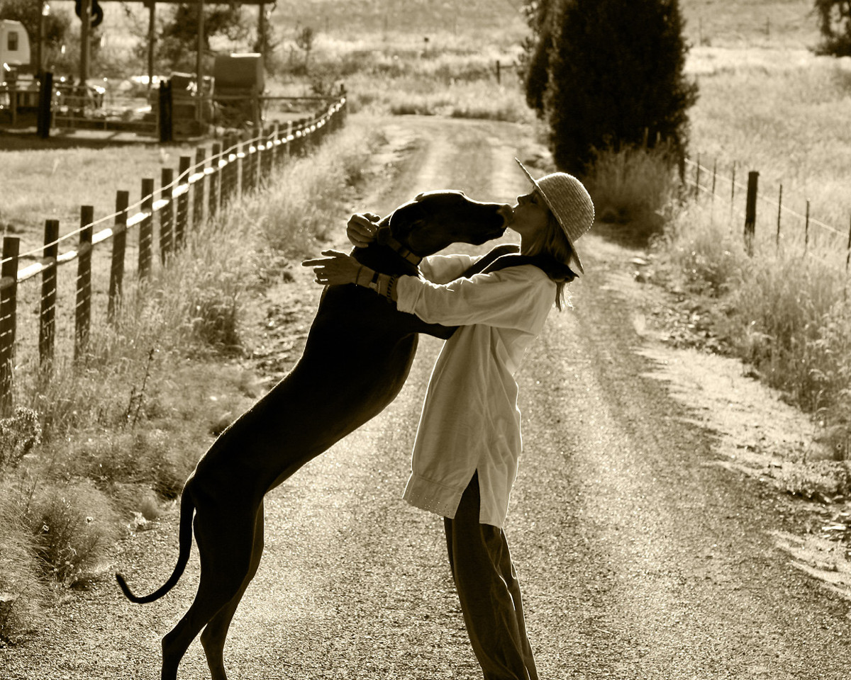 Woman and Dog Sometimes crazy ideas result in good photographs One morning I - photo 2