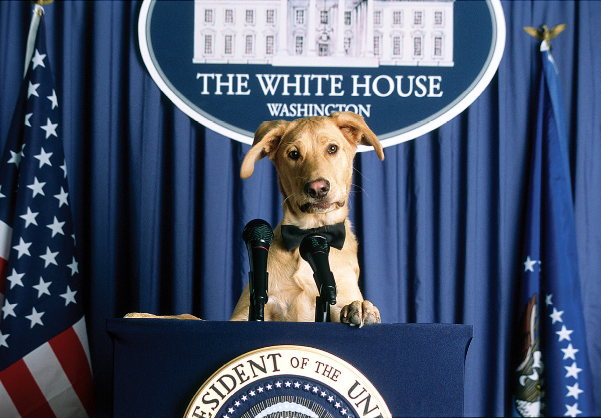 In Dog We Trust Some Presidents propose boring legislation that no one really - photo 5