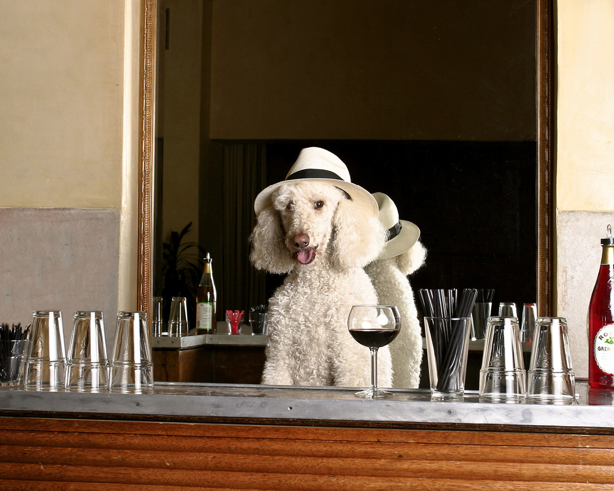 Yappy Hour Bartenders are good to chat with when youre having a drink alone - photo 3