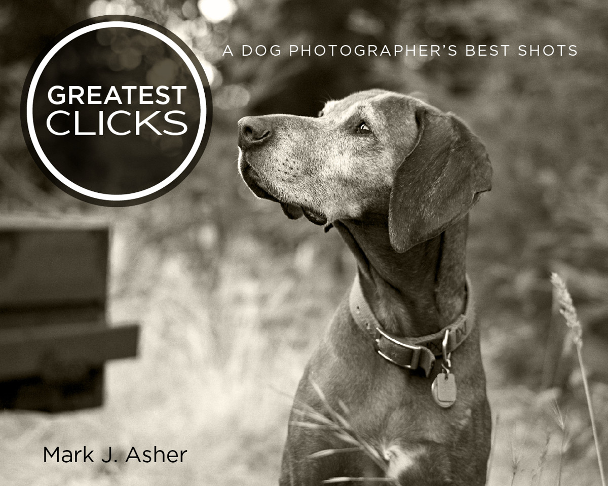 Greatest Clicks A Dog Photographers Best Shot Photographs and Text 2011 by - photo 1