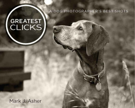 Mark J. Asher - Greatest Clicks: A Dog Photographers Best Shots