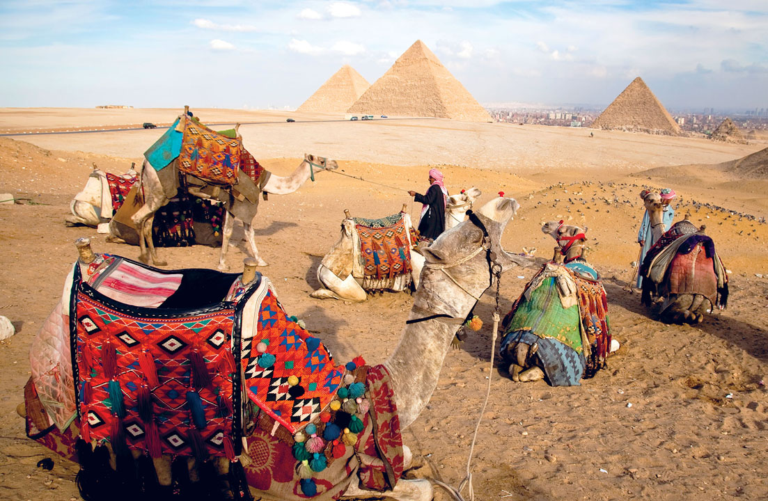 Camels at the Pyramids of Giza RICHARD IANSON LONELY PLANET IMAGES - photo 4