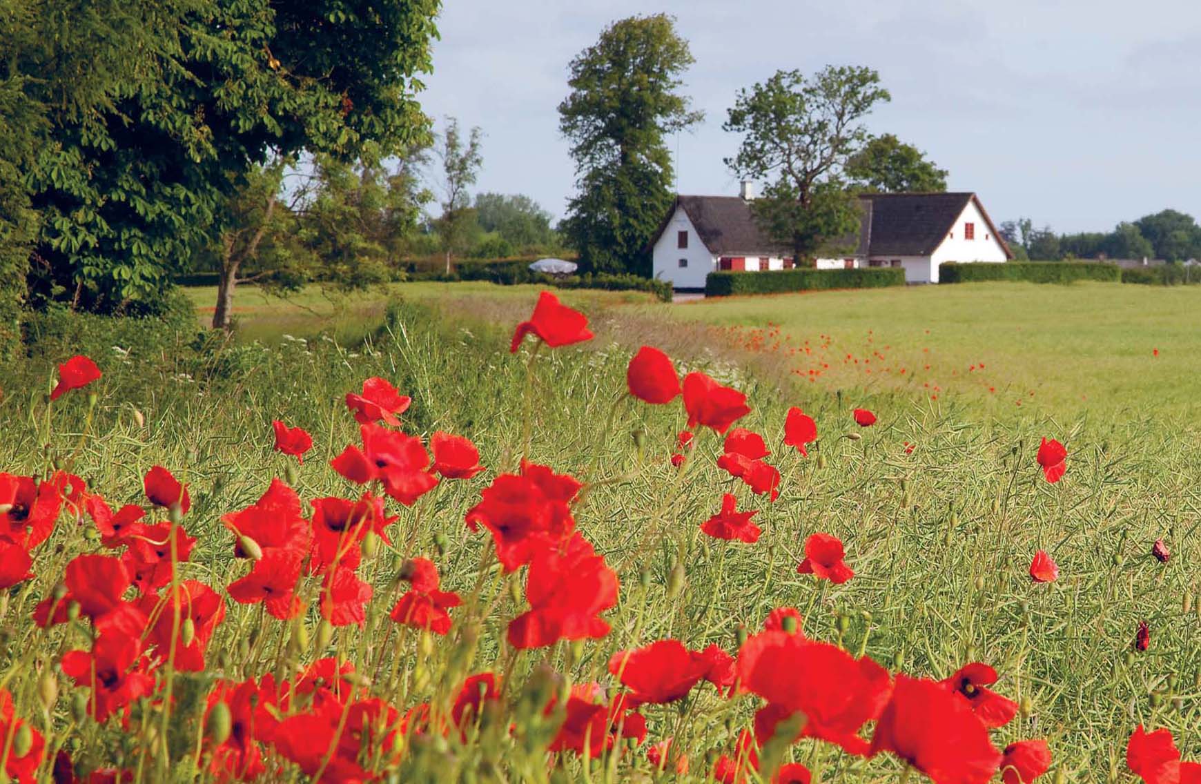 SEAN CAFFREY LONELY PLANET IMAGES Country home near Egeskov Slot Funen - photo 3