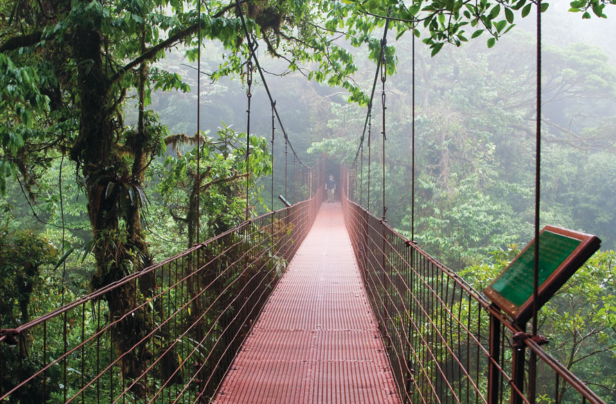 CHRISTER FREDRIKSSON LONELY PLANET IMAGES Volcn Arenal While the molten - photo 5