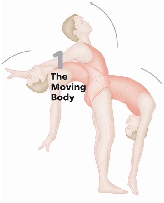 Anatomical Directions To describe the relative position of body parts and their - photo 5