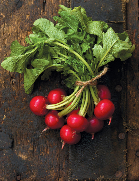 Eating is an agricultural act WENDELL BERRY CONTENTS Introduction - photo 5