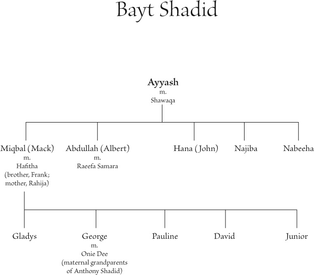 Introduction Bayt The Arabic language evolved slowly across the millennia - photo 2