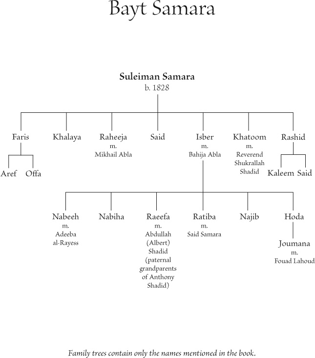 Introduction Bayt The Arabic language evolved slowly across the millennia - photo 1