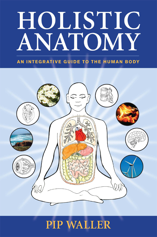 Praise for Holistic Anatomy Open this book anywhere and read a paragraph - photo 1