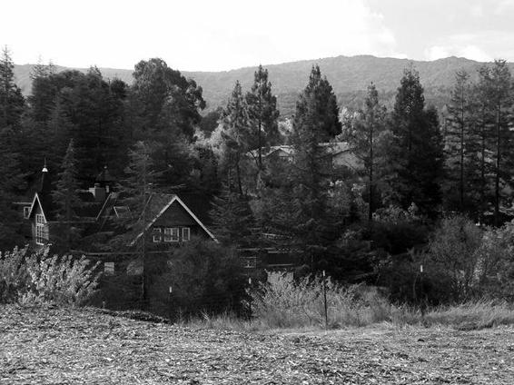 Los Altos Hills California A little over six years ago my husband persuaded - photo 4