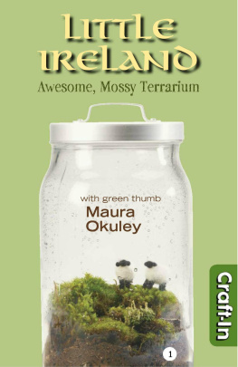 Maura Okuley [Okuley Little Ireland Terrarium