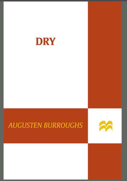 D R Y ALSO BY AUGUSTEN BURROUGHS SELLEVISION RUNNING WITH SCISSORS D R - photo 1