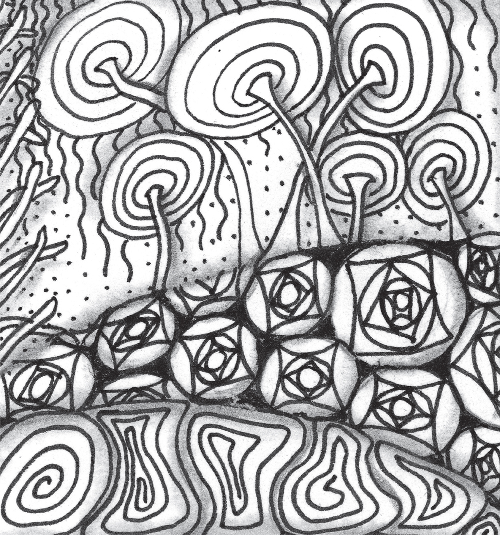 A ZENTANGLE IS A MINIATURE abstract work of art It is created from a - photo 6