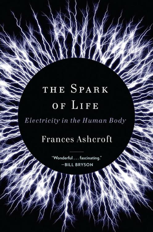 The Spark of Life Electricity in the Human Body FRANCES ASHCROFT Line - photo 1