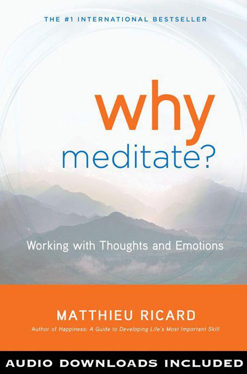 Bonus eBook Content Thank you for purchasing the Why Meditate eBook by - photo 1