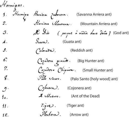 List of ant species in Jos Celestino Mutis handwriting with English - photo 3