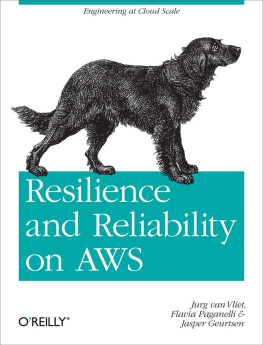 Jurg van Vliet - Resilience and Reliability on AWS