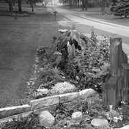 ACKNOWLEDGMENTS JUST AS A RAIN GARDEN IS COLLABORATION AMONG RAIN THE - photo 7