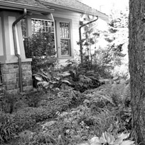 Creating rain gardens capturing the rain for your own water-efficient garden - photo 5