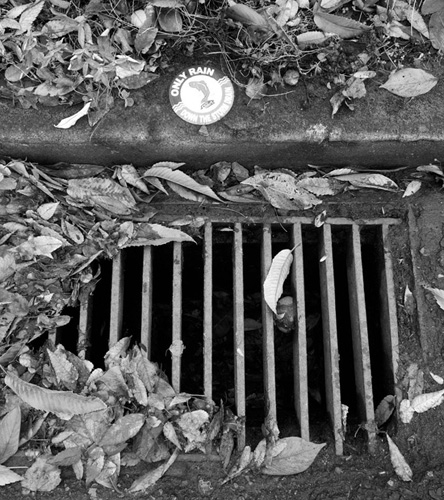 Many storm drains empty directly into a nearby stream or river INTRODUCTION - photo 10