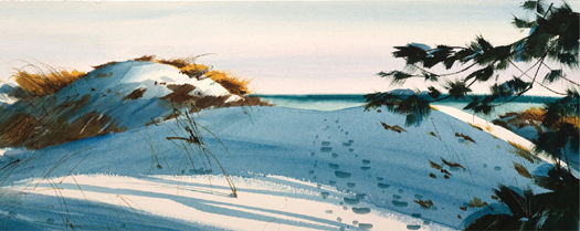 JAMES MICHAEL WINTER DUNES 2008 WATERCOLOR ON PAPER 22 48 INCHES 56 122 CM - photo 4