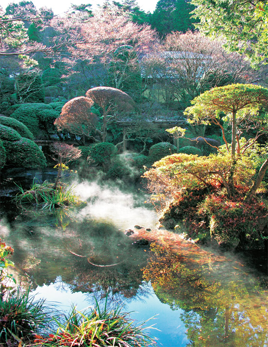 Hot springs in the front garden A view of the garden from a private hot - photo 14