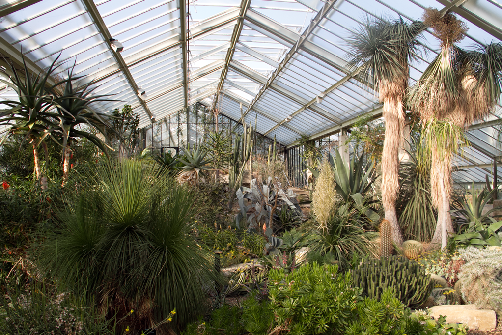 RBG Kew With the spread of plants onto land their shapes and sizes soon began - photo 4