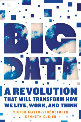 Viktor Mayer-Schonberger Big Data: A Revolution That Will Transform How We Live, Work, and Think