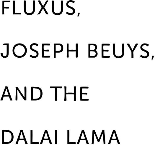 Felt Fluxus Joseph Beuys and the Dalai Lama - image 5