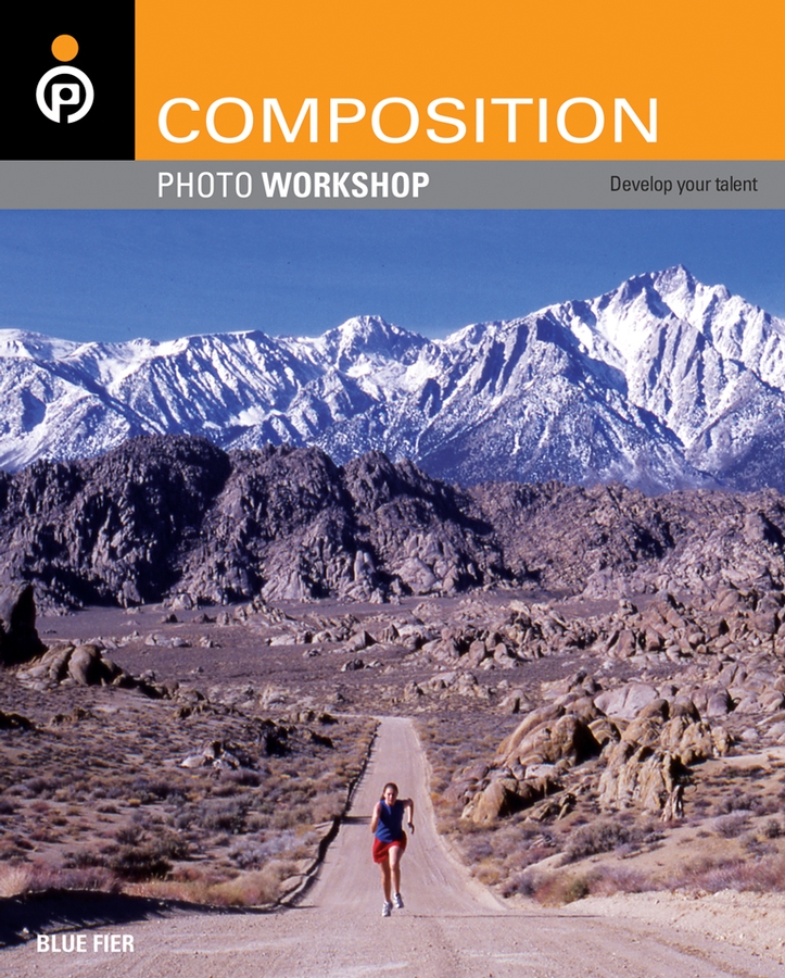 Composition Photo Workshop Blue Fier Published by Wiley Publishing Inc 111 - photo 1