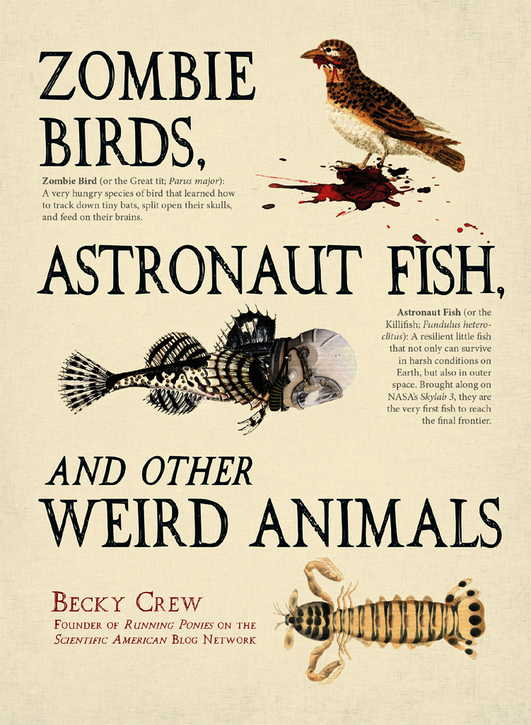 ZOMBIE BIRDS ASTRONAUT FISH AND OTHER WEIRD ANIMALS B ECKY C REW F OUNDER - photo 1