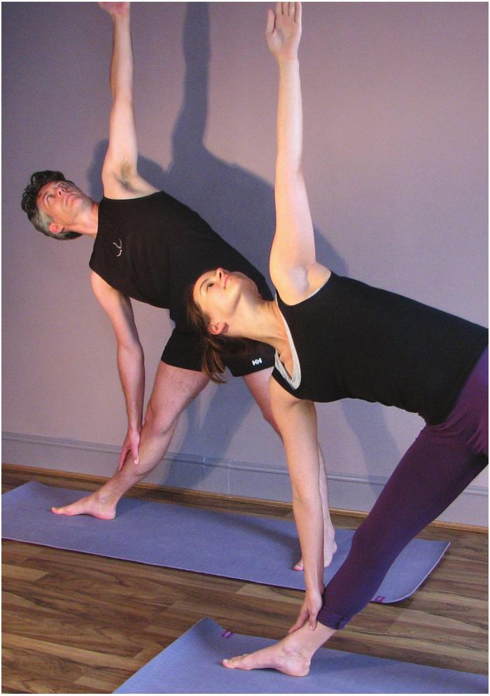 Contents I met Alan five years ago having tested two other different yoga - photo 1