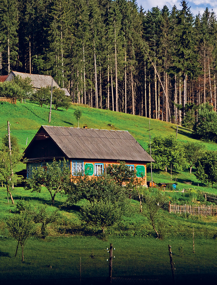 Carpathian countryside near Uzhhorod MARTIN MOOS Lvivs Ploshcha Rynok Lviv - photo 4