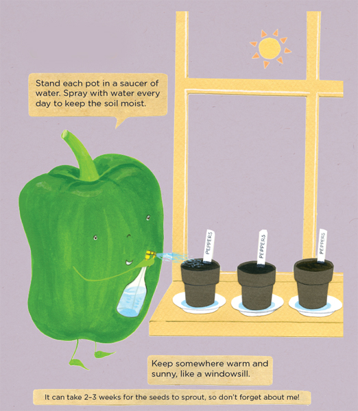 STEP 4 STEP 5 As the pepper plants grow tie them to a stick or a cane to - photo 28