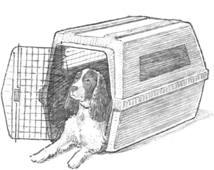 For More Information Training your dog to accept a crate is thoroughly covered - photo 2